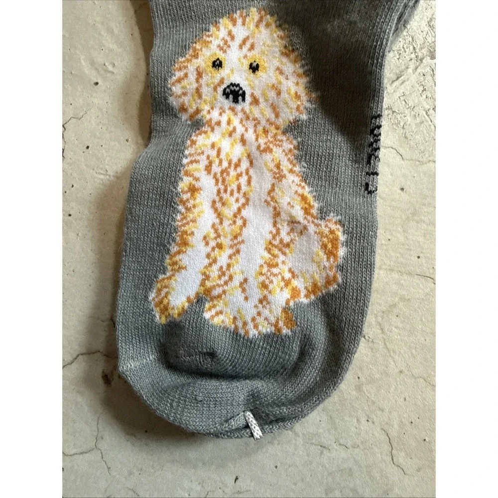 Foozys golden doodle